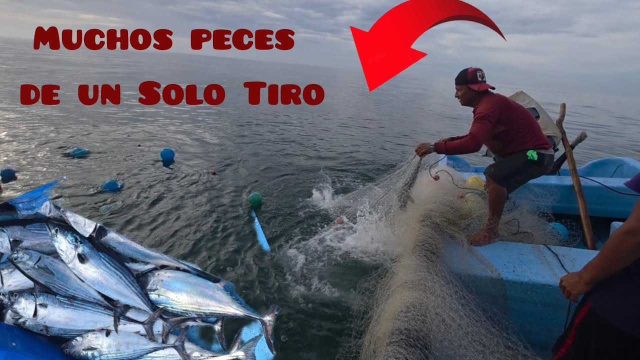 Asiendo Nuestras mejores Capturar en el Furioso Mar 