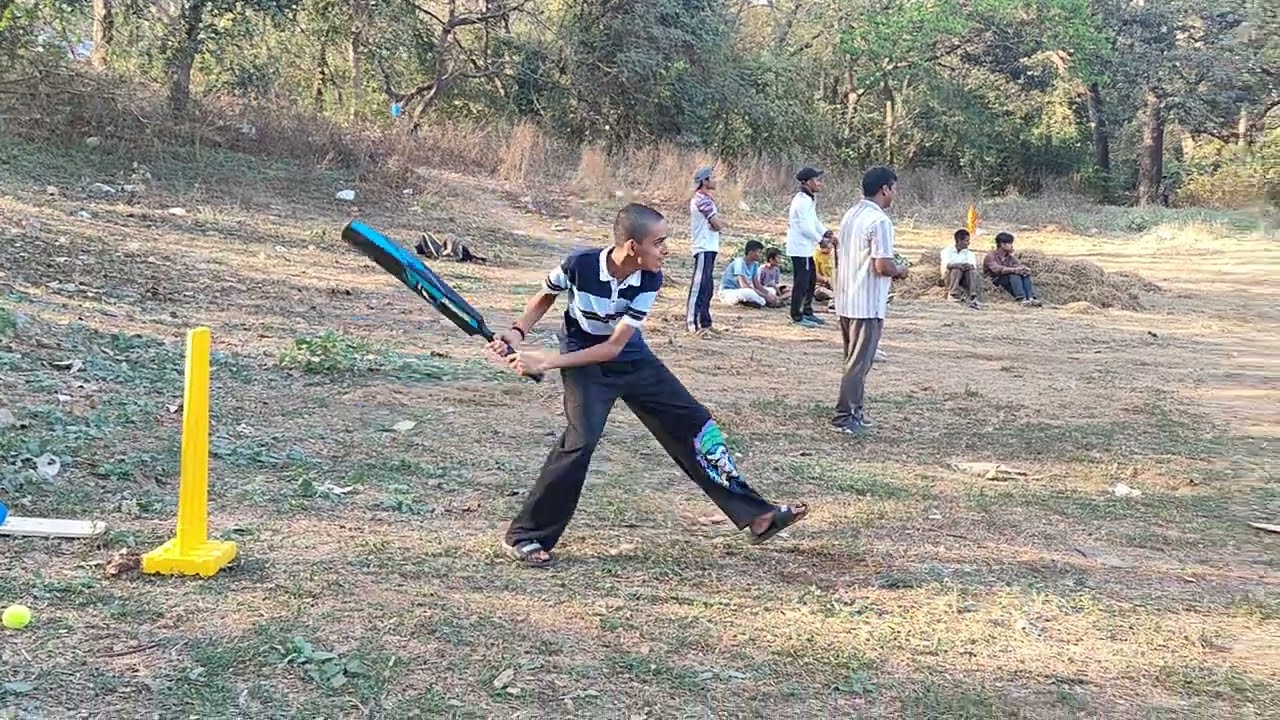 Sunday Playing Cricket 0103