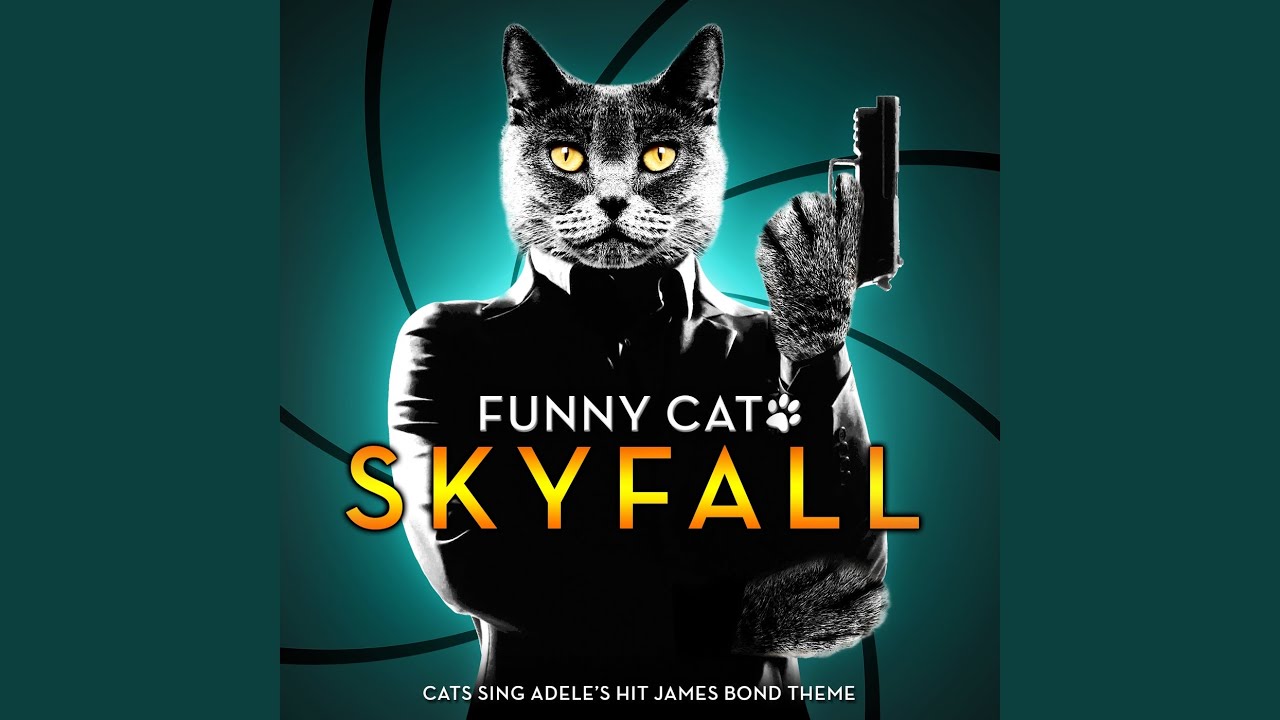 Skyfall - Cats Sing Adele's Hit James Bond Theme