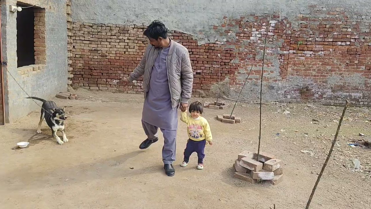 Kashmir day with mini zoo pets