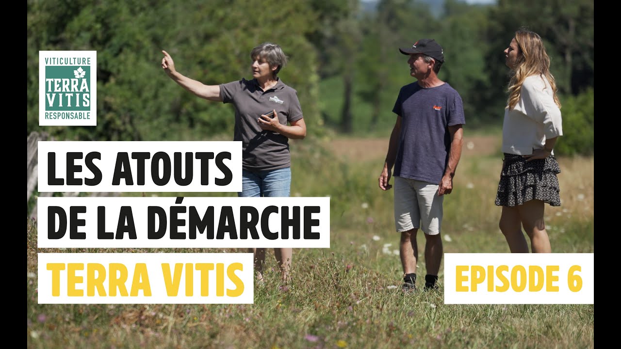 Les bonnes démarches Terra Vitis au Domaine Ligier