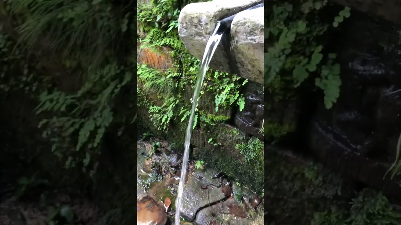 Mul ko pani fresh and orgic water from jungle