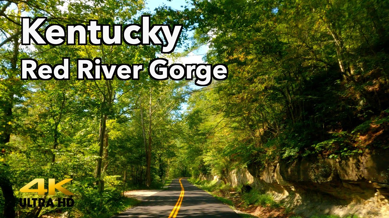 Red River Gorge Kentucky Scenic Drive with Music 4K
