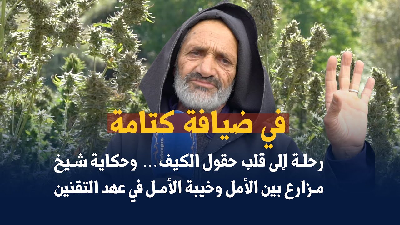 في ضيافة كتامة  رحلة إلى قلب حقول الكيف…  وحكاية شيخ مزارع بين الأمل وخيبة الأمل في عهد التقنين