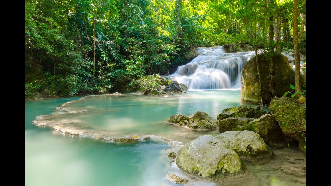 Tree Of Life Spoken Guided Meditation for Grounding relaxation with Theta Binaural Beats