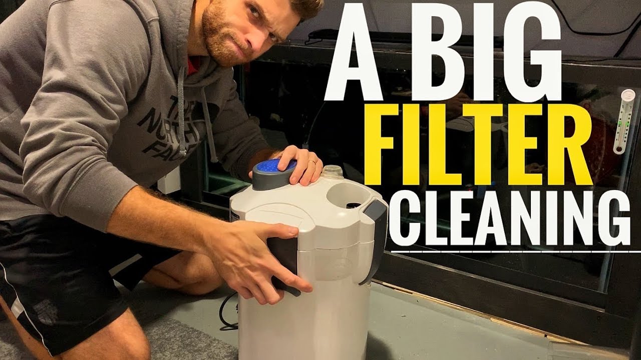 SUN-SUN 304B Canister Filter Cleaning & Aquarium Maintenance | 125 GALLON CICHLID SHOWTANK