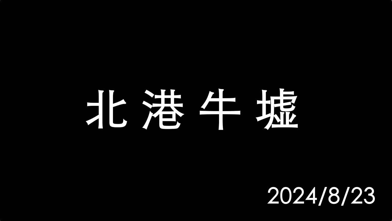無剪輯｜北港牛墟｜逛街紀錄｜沙漠玫瑰