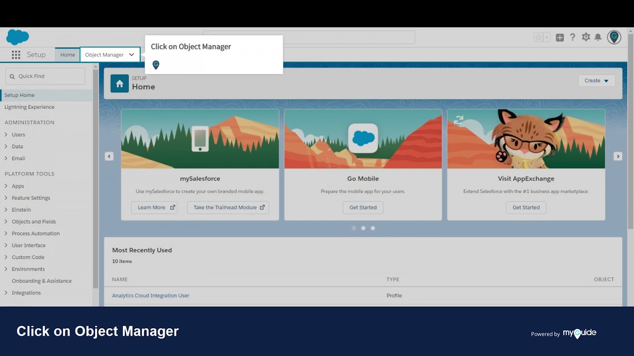 How to Restrict Fields of Leads in Salesforce Lightning