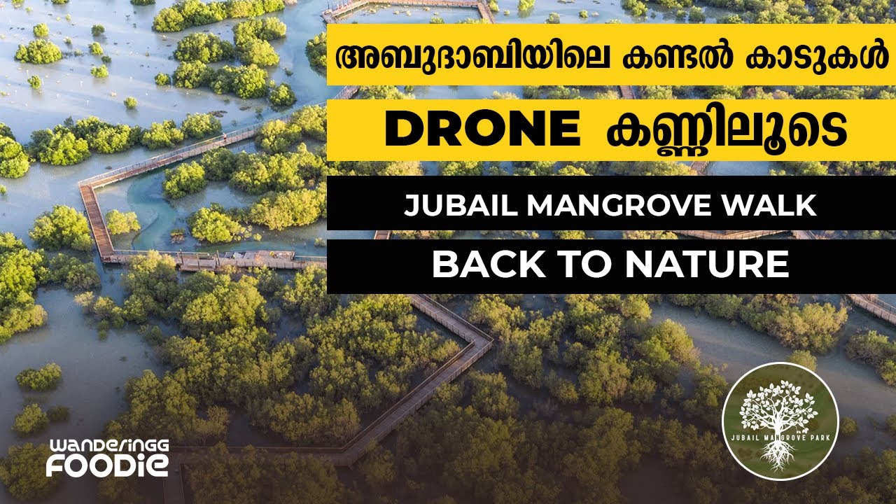 TRAVEL VLOG 84 - Jubail Mangrove Park || Hidden Gem Abu Dhabi || Malayalam VLOG
