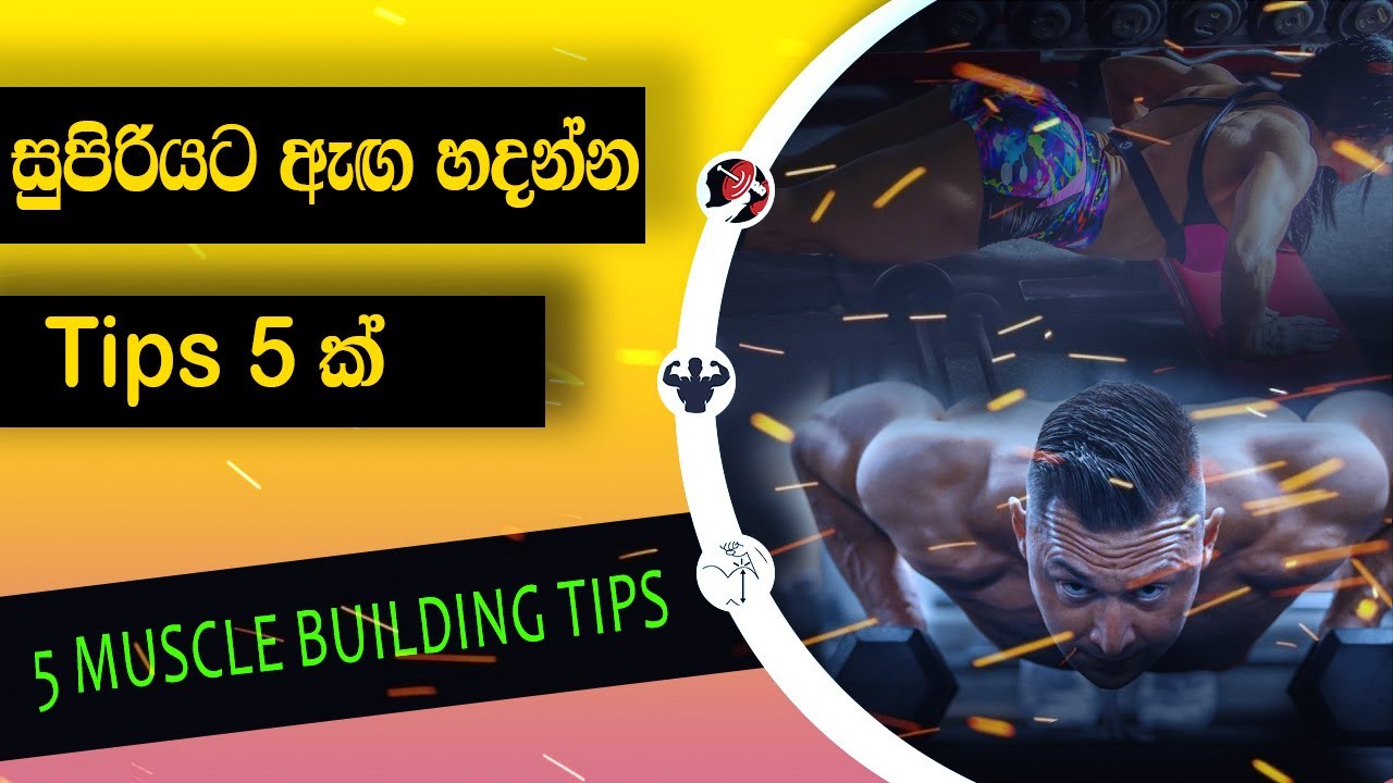 Follow This Muscle Building  5 Tips For  Bodybuilding | Beginner  | Sinhala | Fast Muscle Growth