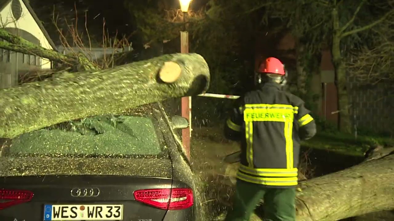 Sturm: Baum auf PKW , Einsatz für die Feuerwehr Moers