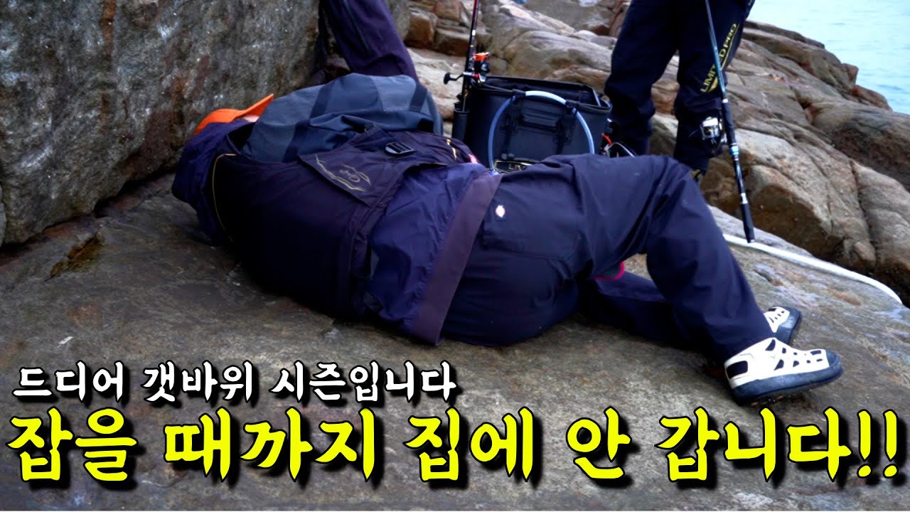 드디어 찾았네요 100%포인트!