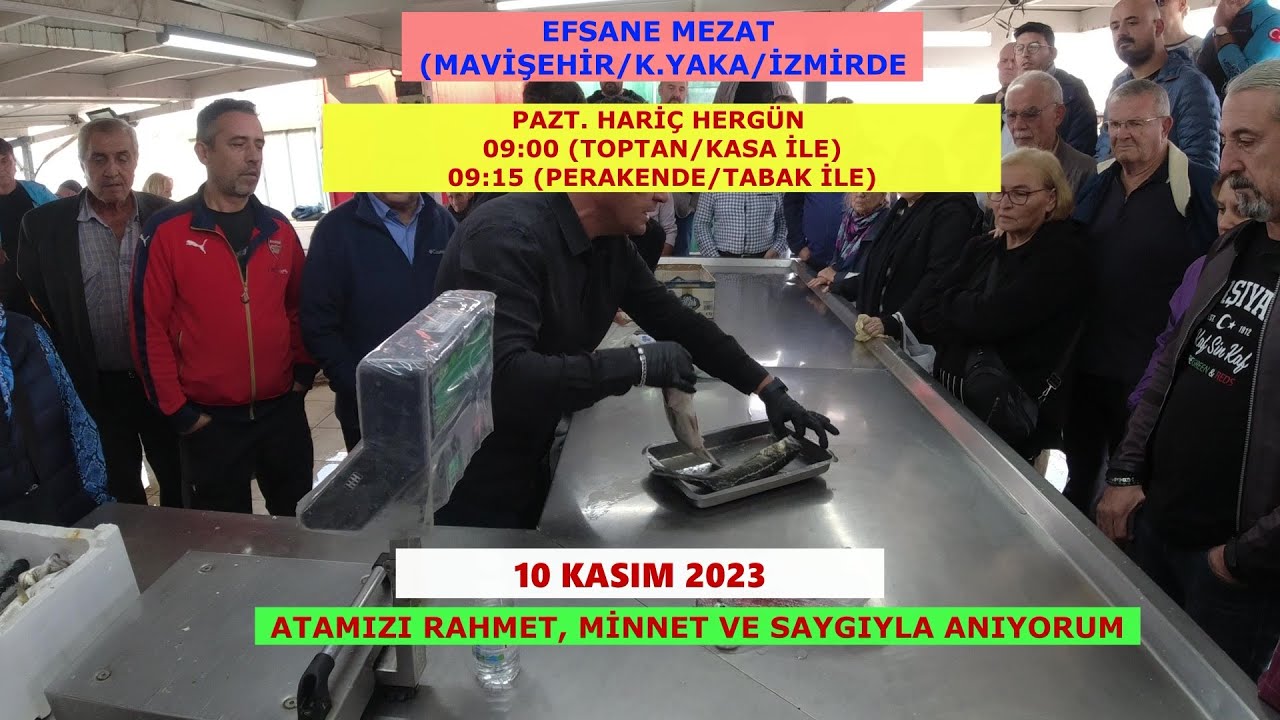 EFSANE MEZATA 1,5 KG LEVREK CANLI GELDİ. BARBUNDA YİNE MÜTHİŞ KAPIŞMA.