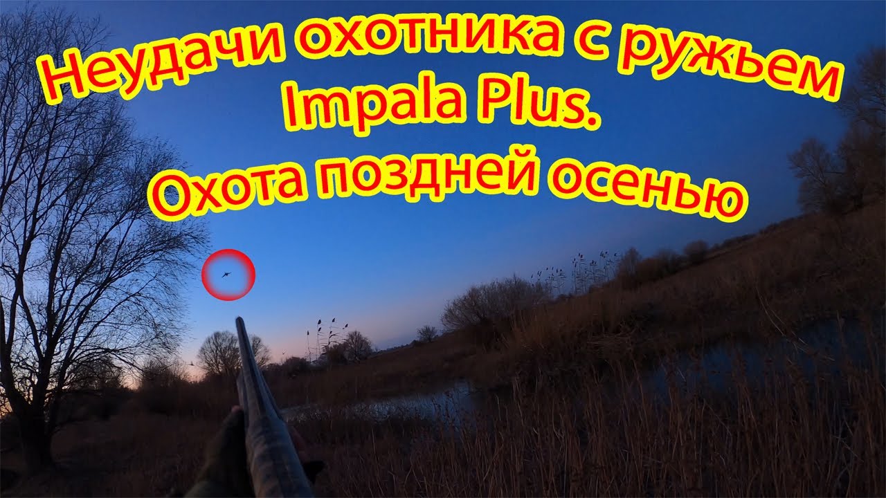 Неудачи охотника с ружьем Impala Plus. Добыча уток. Охота поздней осенью