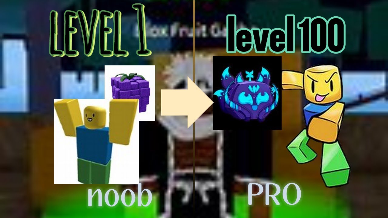 level 1 to 100 in bloxfriuts (level 30)
