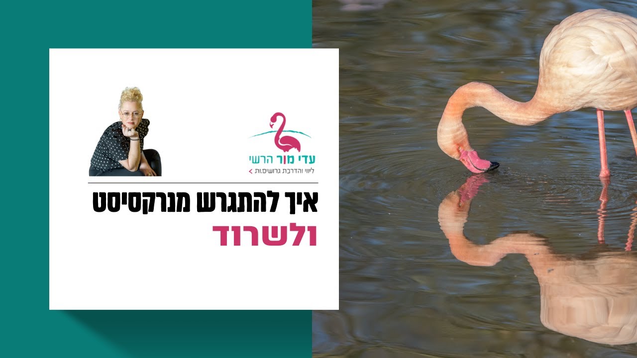 איך להתגרש מנרקסיסט ולשרוד