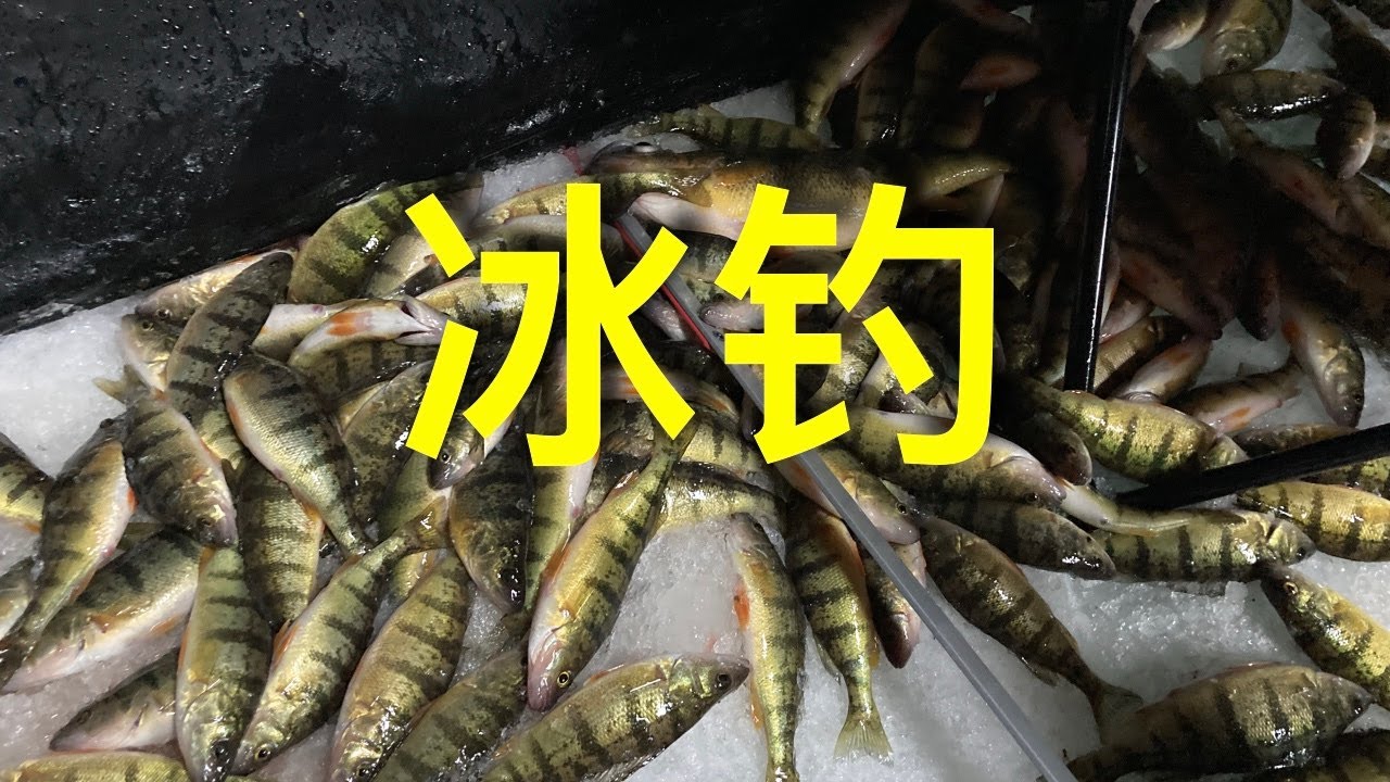 冰钓大丰收，建房业余生活  Ice fishing