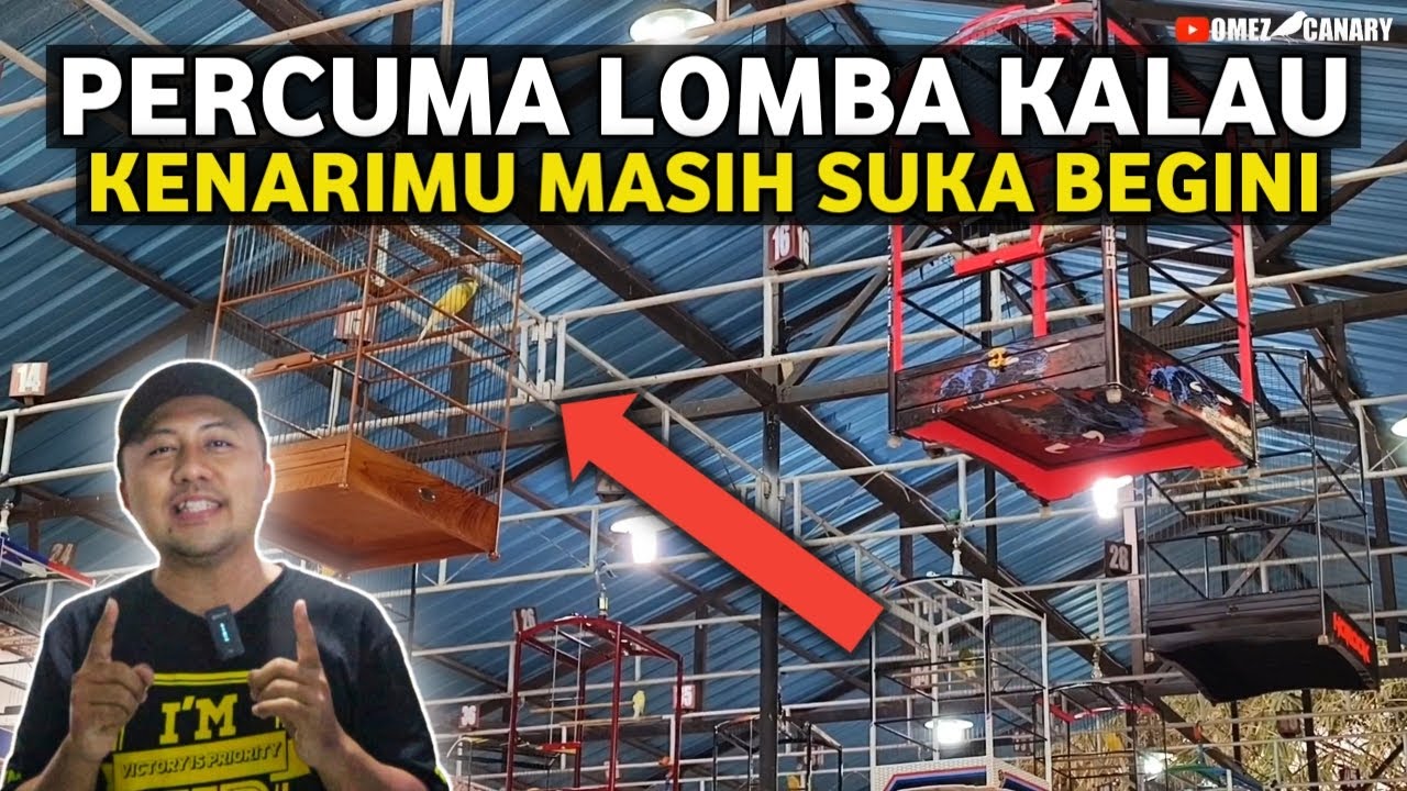 6 PELANGGARAN DI LOMBA KENARI BIKIN GAGAL JUARA‼️PEMULA WAJIB TAU