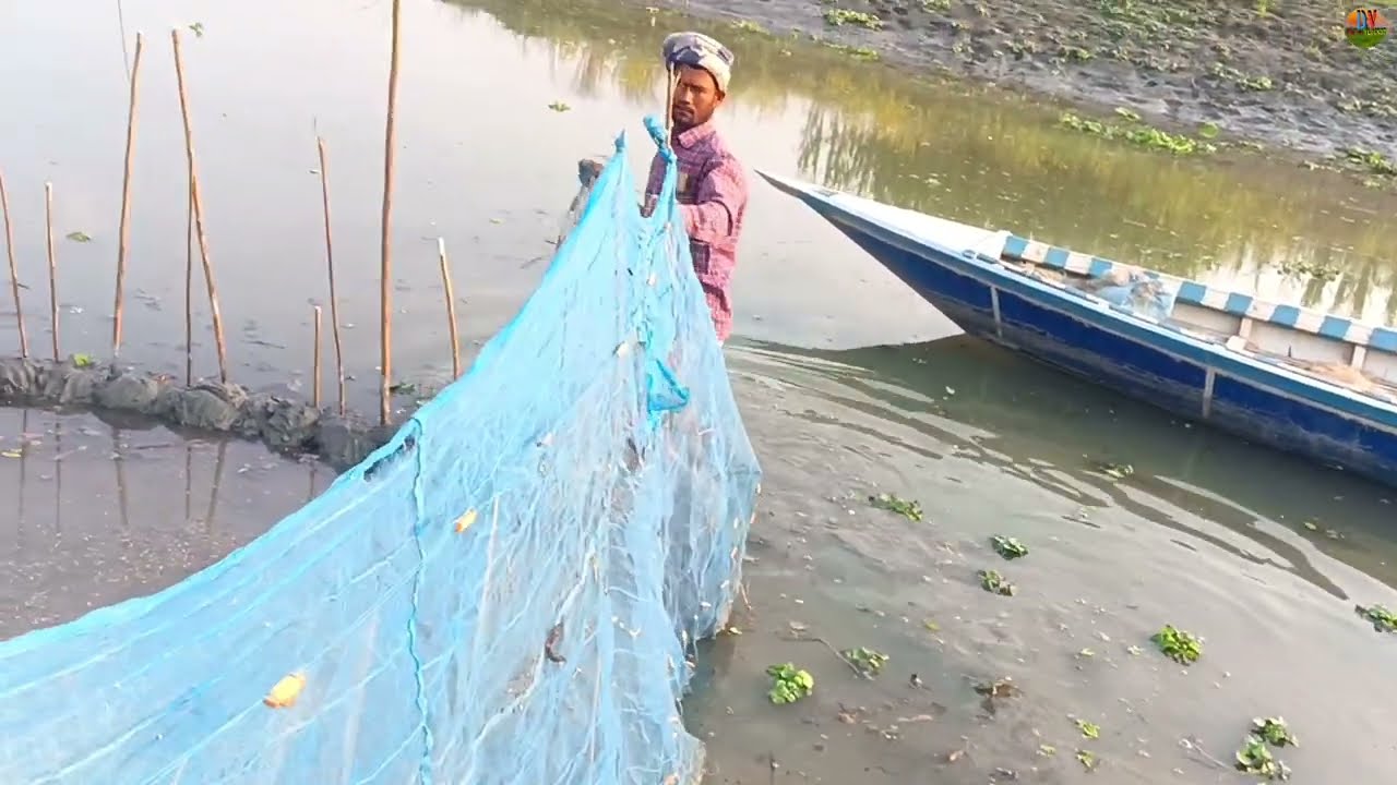 নামের চেয়ে বদনাম বেশি হয়ে গেলো আমাদের বাইচাল নৌকা নিয়া। 