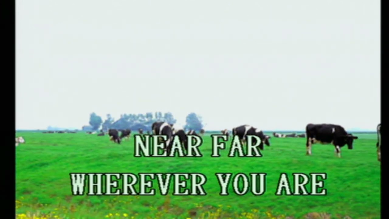 Magic Sing Karaoke:8011 Celine Dion -  My Heart Will Go On