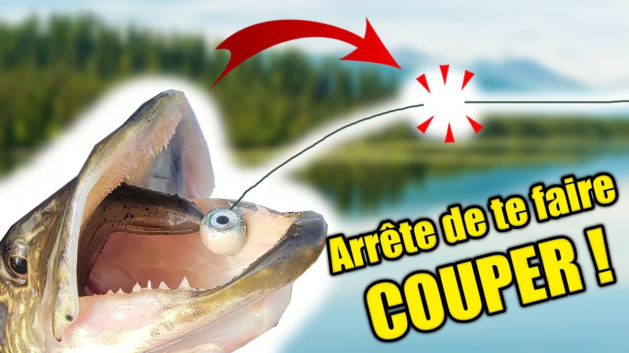 Comment ne plus JAMAIS se faire couper par un BROCHET ?!
