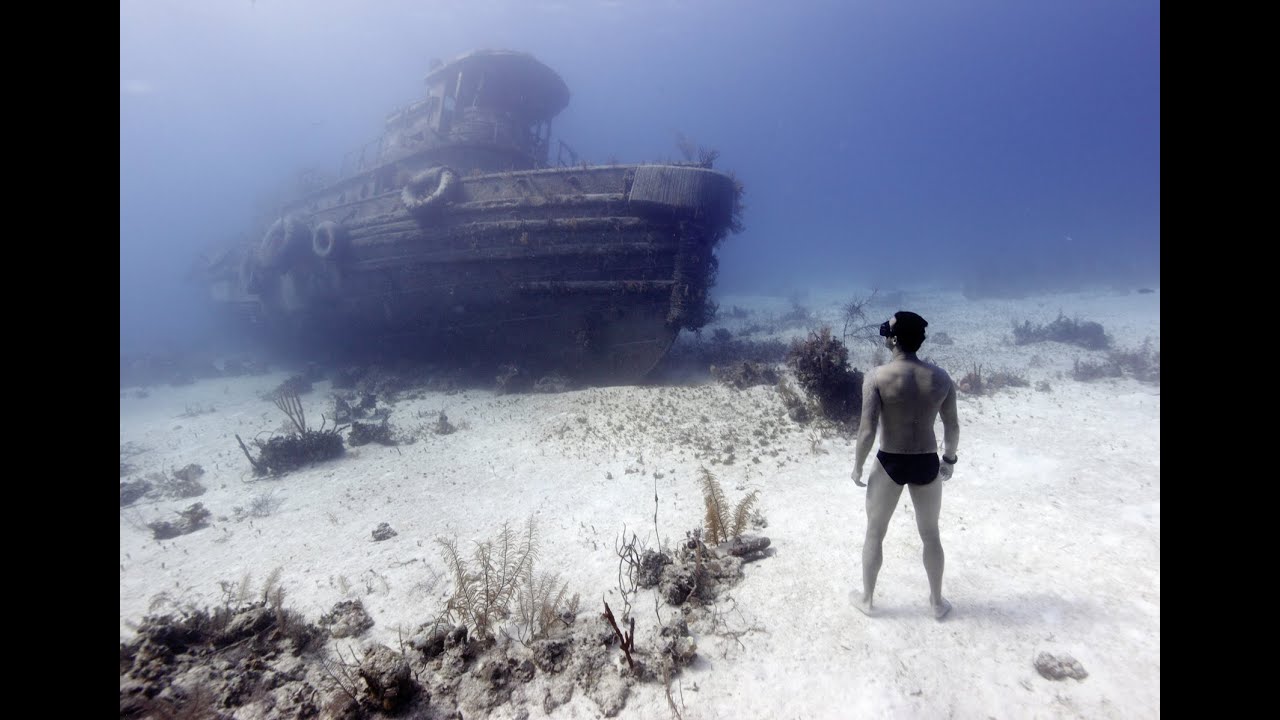 Pierre Frolla - Princes des Epaves