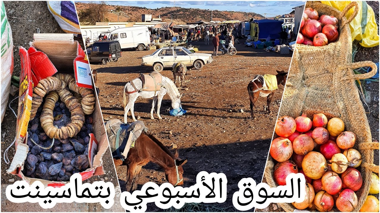 منتوجات فلاحية محلية وحوار شيق مع صانع المحراث التقليدي