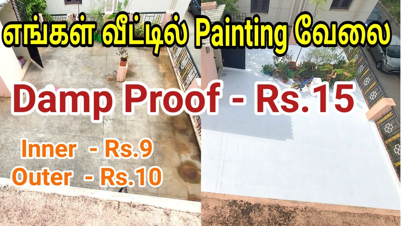 Asian Paint Damp Proof  |வீட்டிற்கு பெயிண்டின் விலை| Home Painting #painting #wallpainting