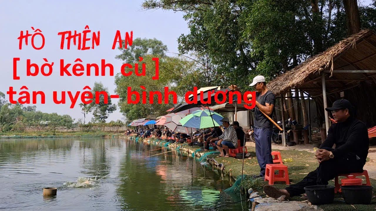 Câu cá chim hồ dịch vụ - một ngày thê thảm ở hồ thiên an