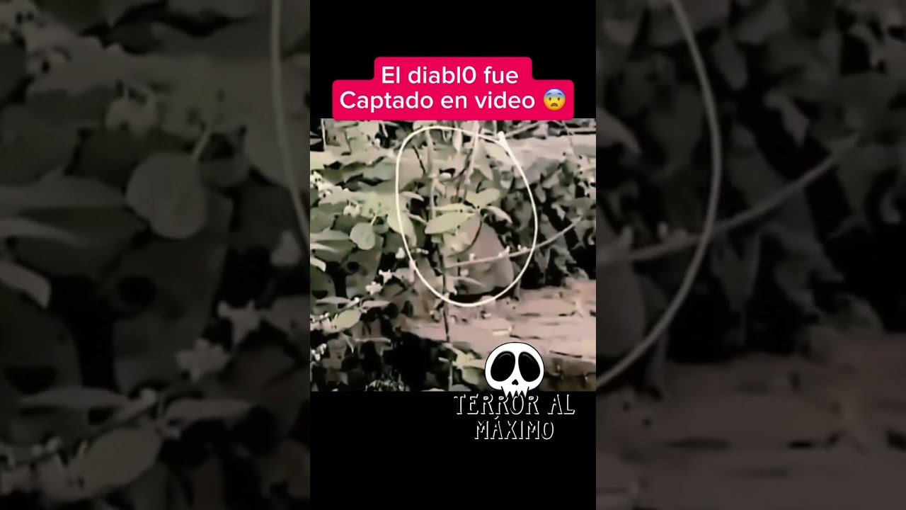 El diablo fue visto 😨 #amazing #greenscreen #d&uacute;o #terrors