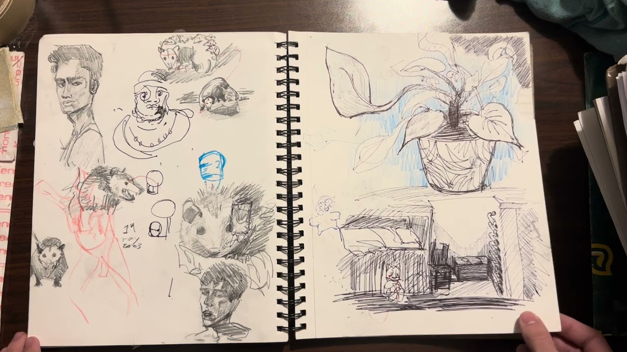 2022-23 sketchbook tour 