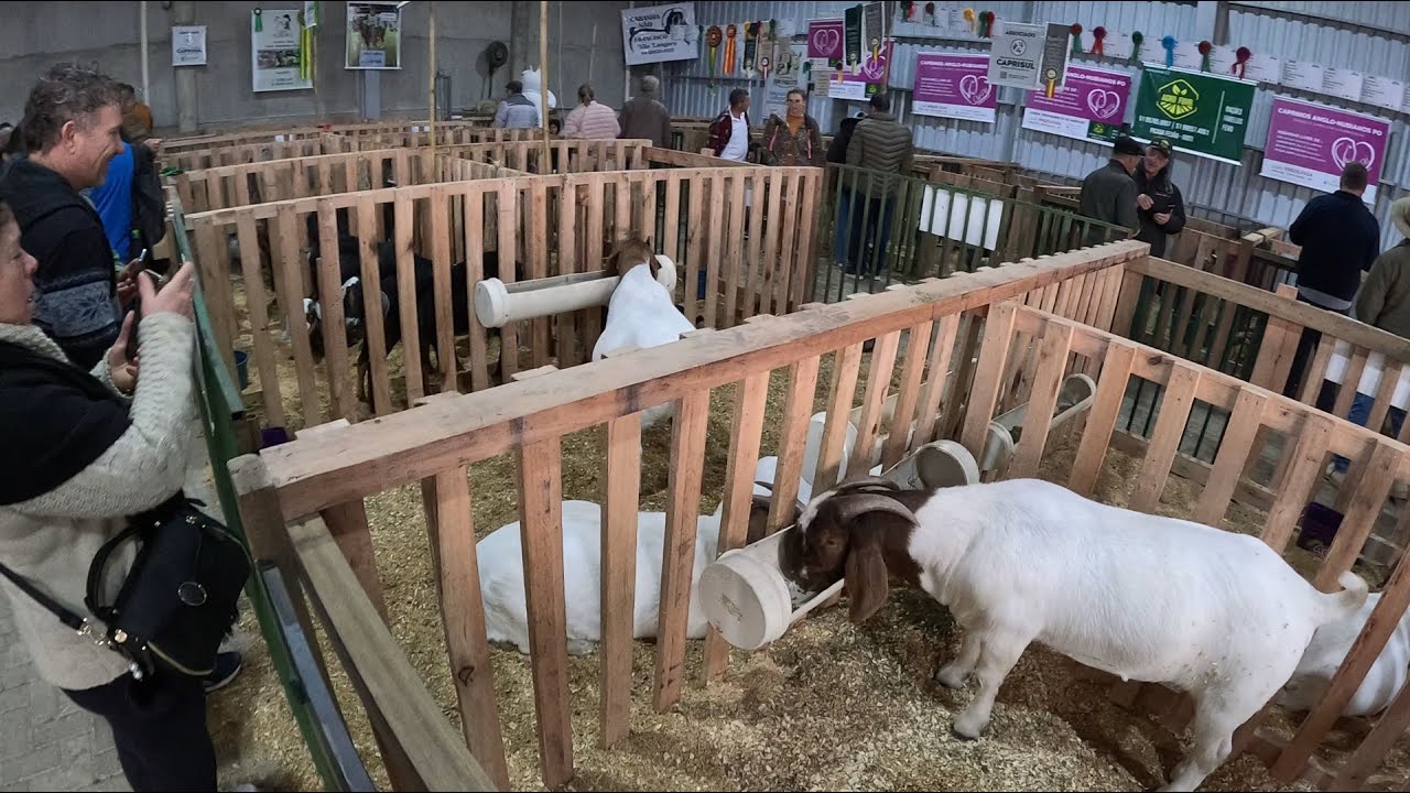 Visitamos a Expointer na cidade de Esteio - RS