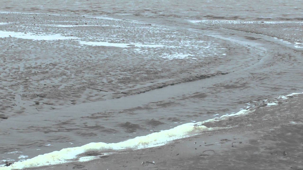 Waddenwildernis Waddenzee Schildknopen, geulen en zandplaten