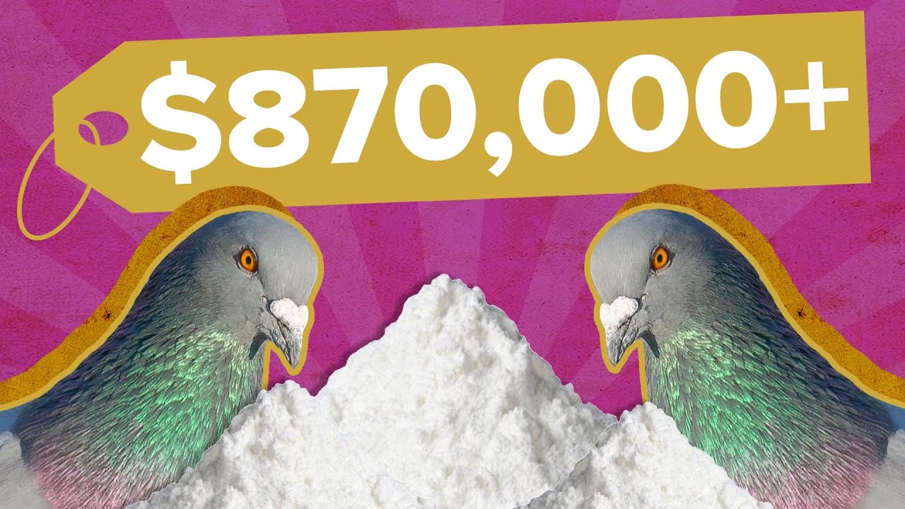 Why The Federal Government Loves Wasting Your Money