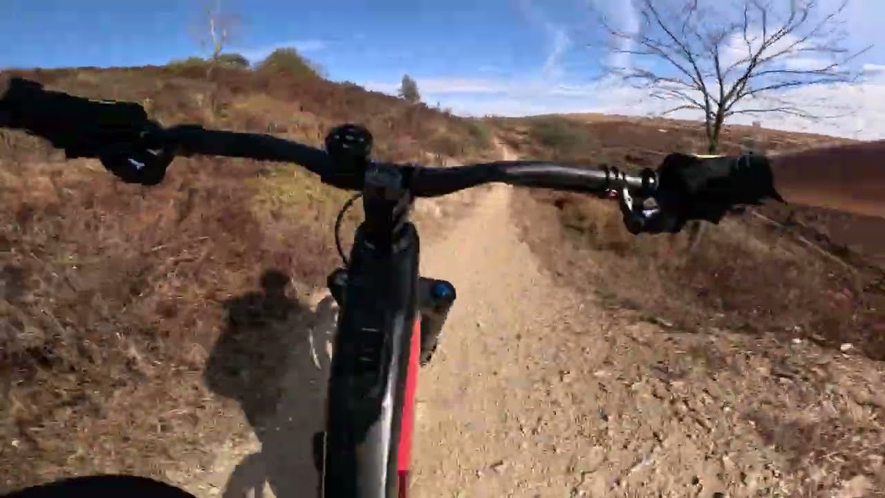 Trexler Nature Preserve PA MTB flow trails