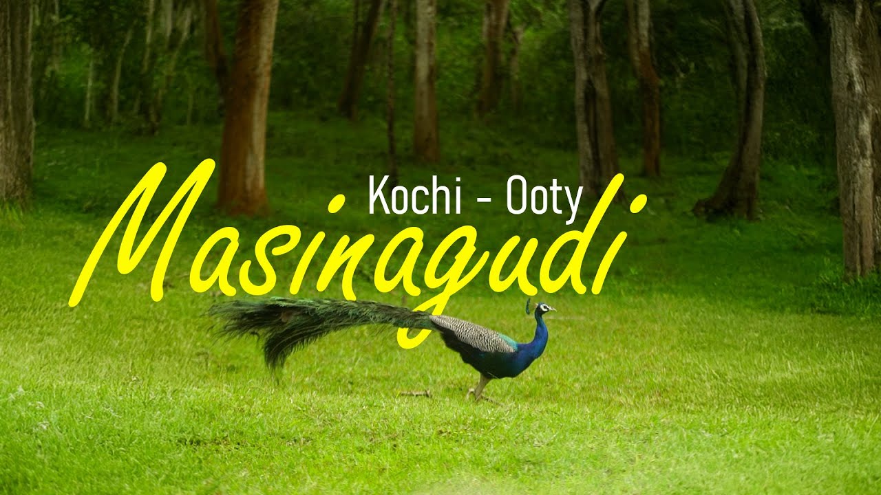 We Experienced Masinagudi & Kalhatti Ghat | Kochi to Ooty EP 2