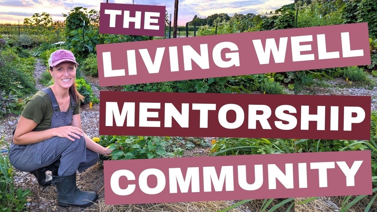 Exciting News about Living Well - My New Mentorship Community Launching in March
