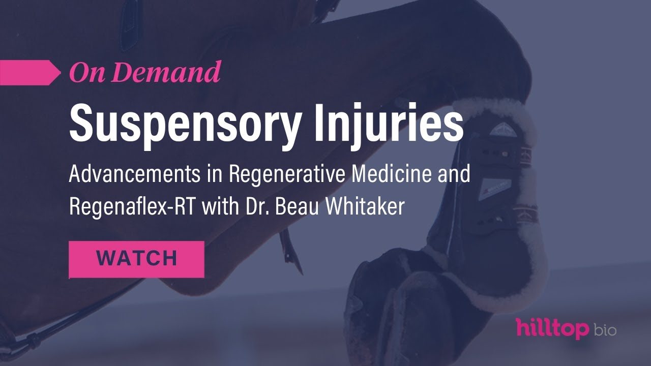 Suspensory Injuries: Advancements in Regenerative Medicine and Regenaflex-RT