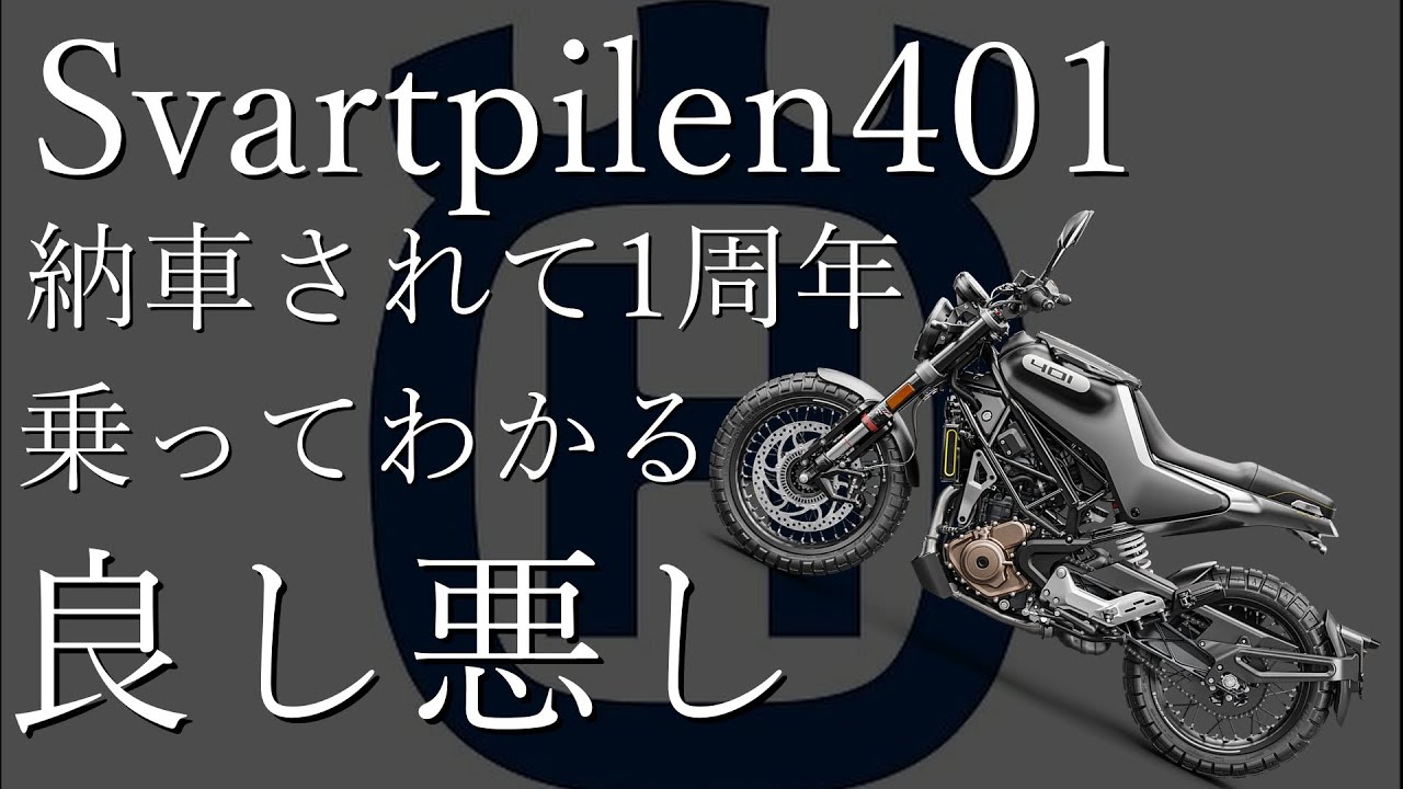 【祝1周年】Svartpilen401で1年走ってわかったこと【走りすぎ】
