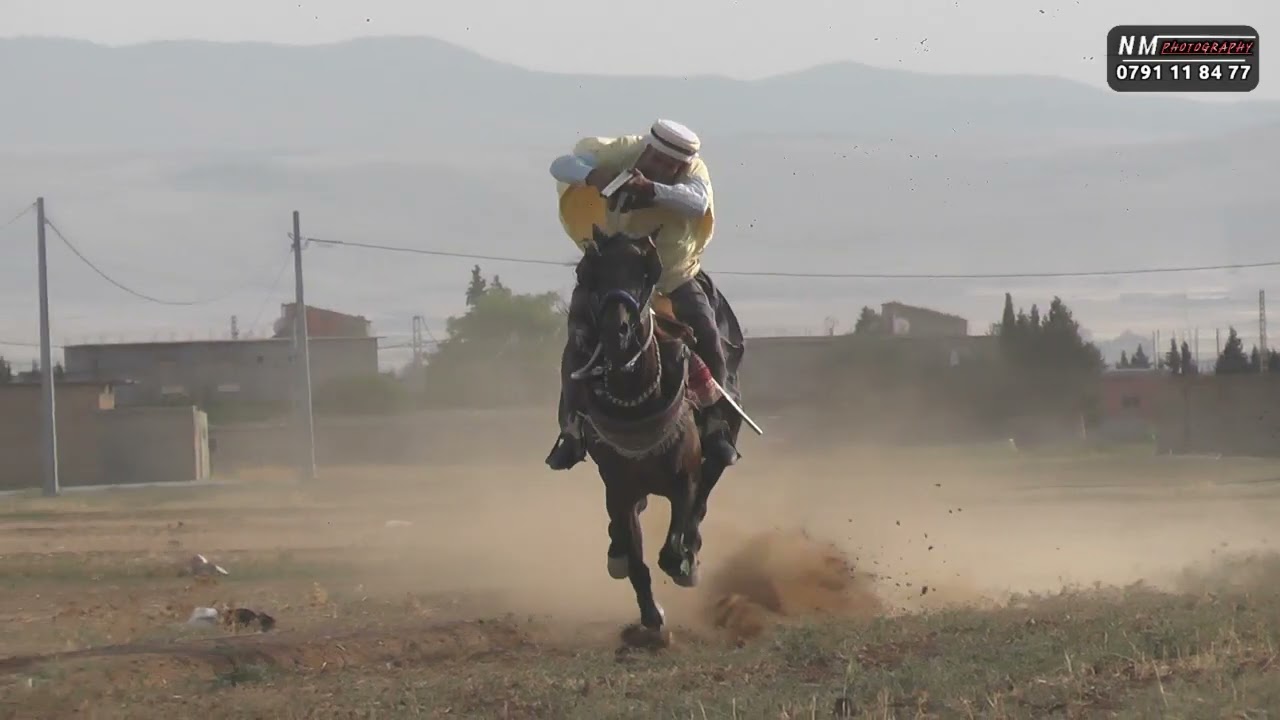 فرسان قلال فرح ڨيوة عمران سطيف