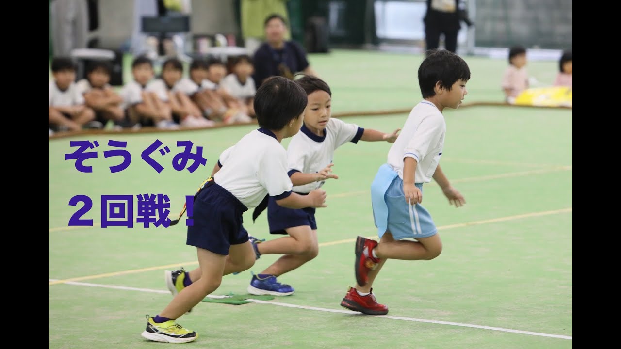 ぞうぐみ２回戦！ あきの大会/2024. しっぽとり大会 ライオンの子教育