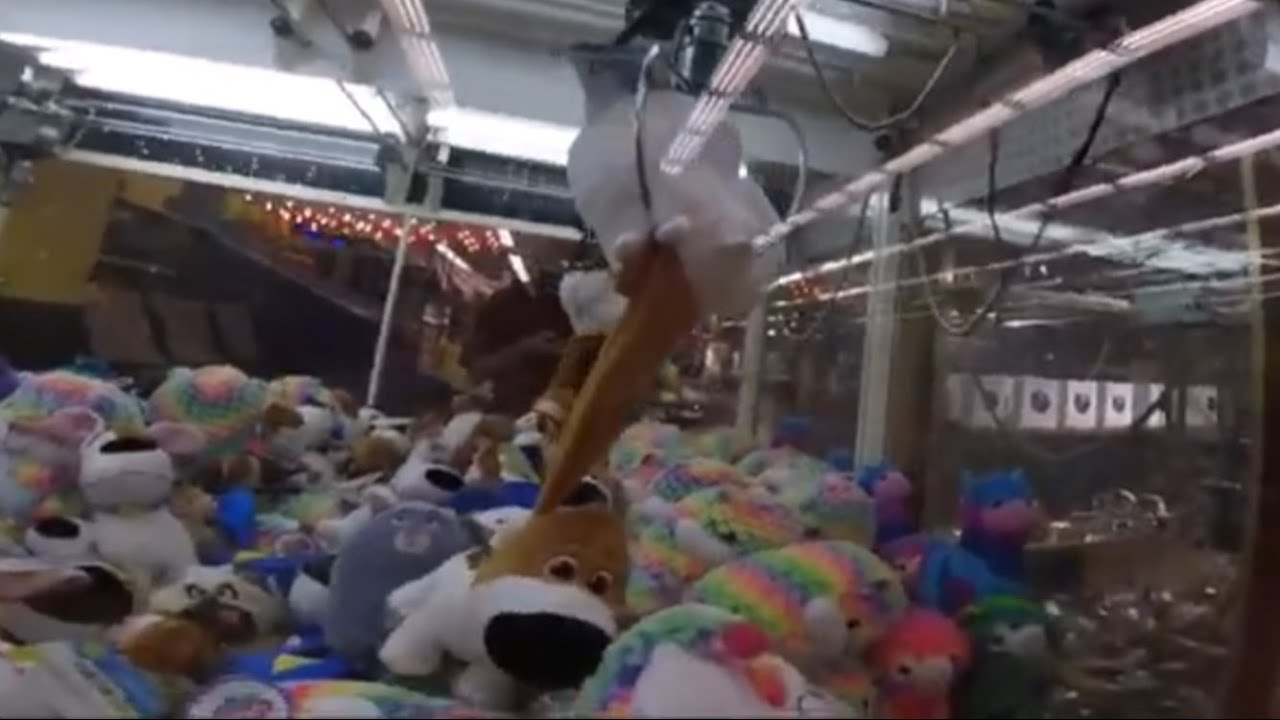 THE SECRET LIFE OF PETS 2 CLAW MACHINE! 35 WINS AT ONE MACHINE!!