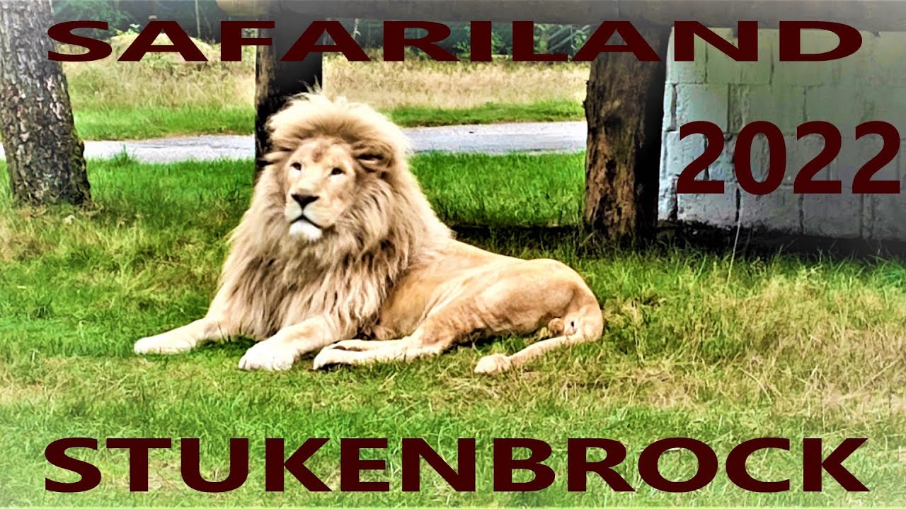 Safari land/Safari park Stukenbrock 2022 NRW einmaliges Erlebnis/Зафариланд Штукенброк германия DOKU