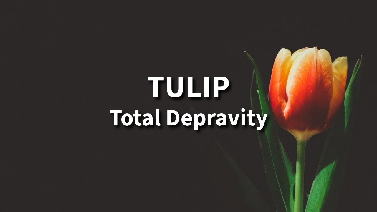 TULIP: Total Depravity - Paul Orchard
