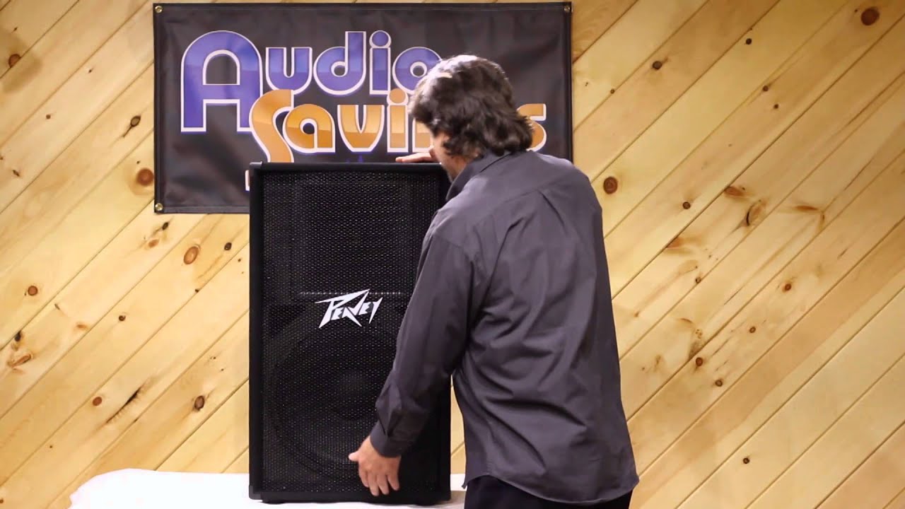 Peavey PV115 15