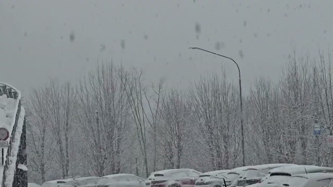 Abetone in Toscana oggi sotto una nevicata meravigliosa 25/01/2026
