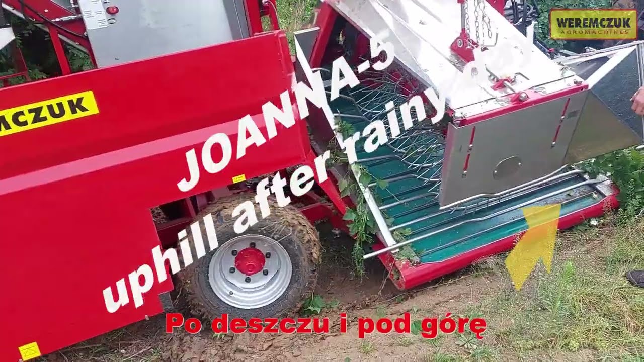 JOANNA-5 black currant harvest uphill after rainy day + Claas 230 Eliot HARD FIELD CONDITION!!!