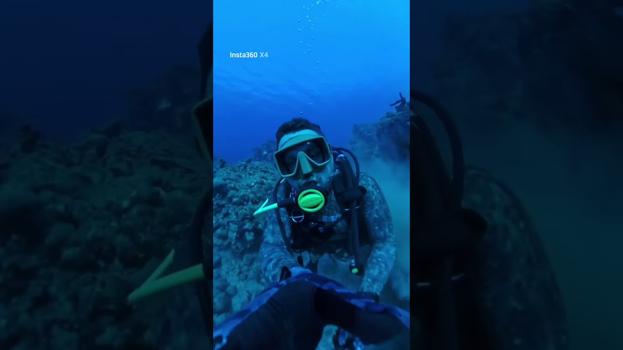 Diving with Lion Fish, Goosters and Turtles