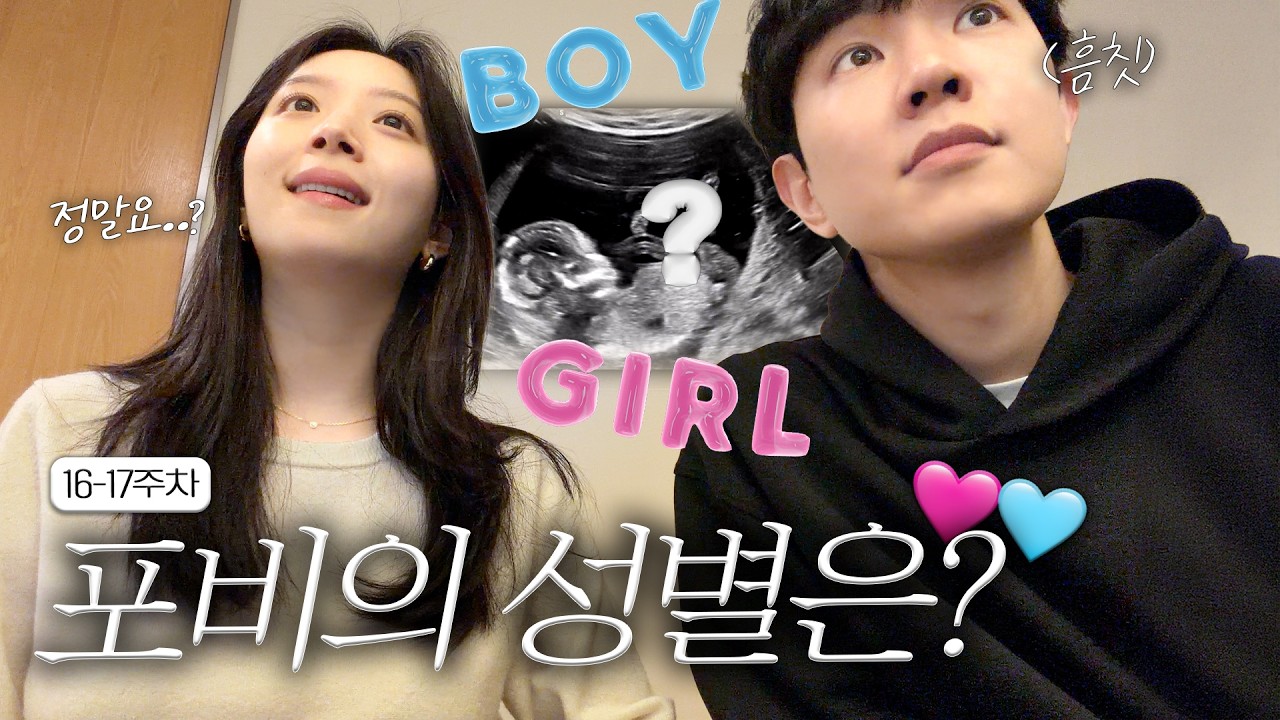 드디어 성별 공개… 공주일까 왕자일까? 👶🏻 | 임신 16–17주 브이로그업16,17주차
