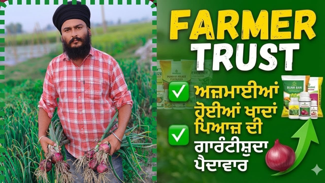 ਪਿਆਜ ਦਾ ਰਿਕਾਰਡ ਤੋੜ ਝਾੜ ਲੈਣ ਲਈ ਖਾਦਾਂ ਦਾ ਸਹੀ ਫਾਰਮੂਲਾ